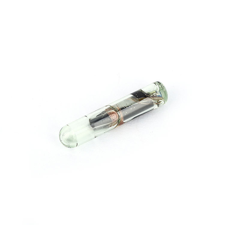 ISO11784 11785 rfid chip microchip implant for Cat/dog/fish/horse