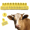 hf 13.56mhz ISO14443A rfid id gps animal chip transponder ear tag eartag for cattle cows sheep pigs