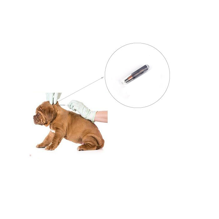 Custom ISO11784/785 FDX-B transponder pet dog rfid dog animal microchip syringes