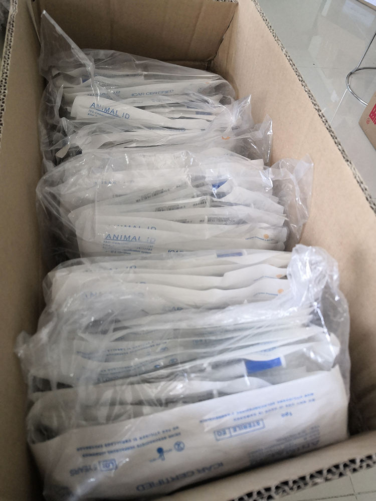 Animal microchip 125KHz RFID Glass Tag EM4305 / T5577 Microchip rfid tag for animal