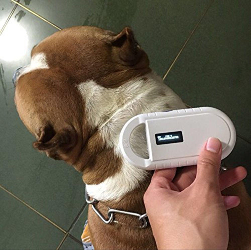 RFID Animal Ear Tag Reader 134.2khz Animal Microchip Reader for Dog Cat Sheep PT160