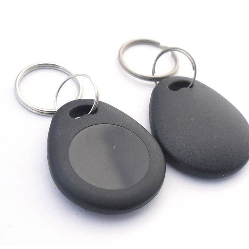 Passive 125Khz+13.56mhz Dual frequency RFID Tag, Proximity and NFC Key fob